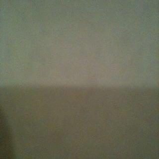 Photo of Daniella M.