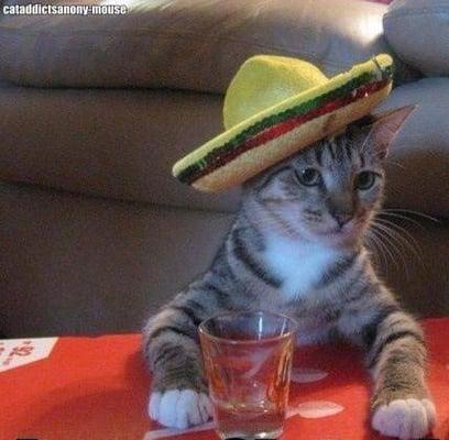 photo of FoodiesRwe ..