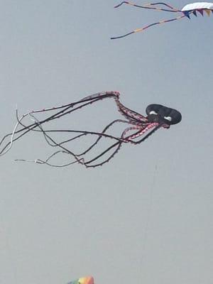 Photo of B B.