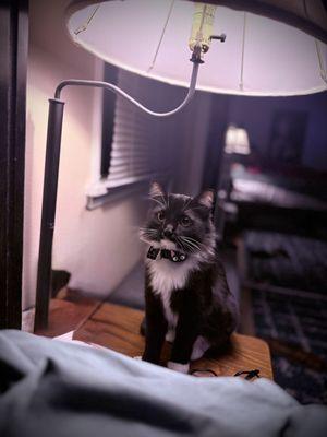 Photo of SavageG ..