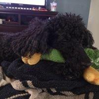 photo of Rosalinda D.