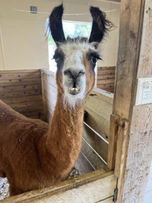 photo of Marshall G.