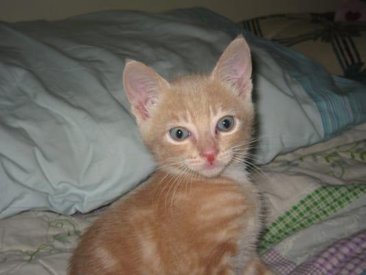 Photo of Kim H.
