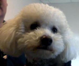 photo of Gretchen R.