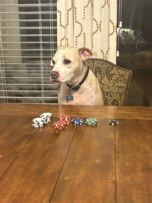 photo of Christian M.