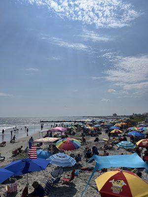 Photo of JerseyFoodie F.