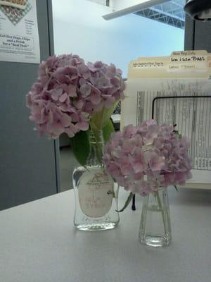 Photo of Stephanie S.