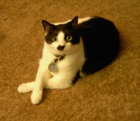 photo of Stephanie C.