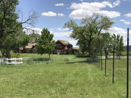 Photo of Alexander R.