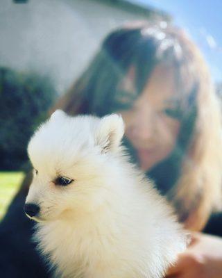 Photo of Toshi I.