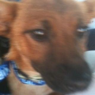 photo of Kathleen B.