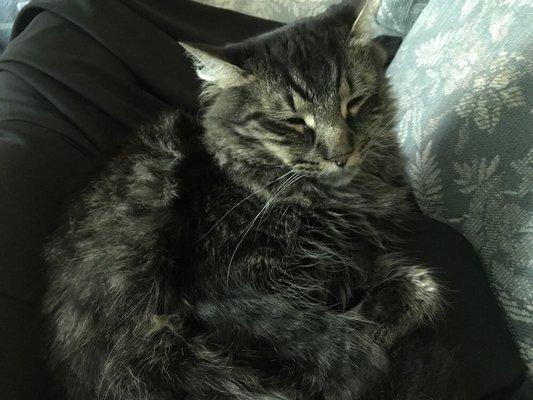 photo of BobbieJo R.