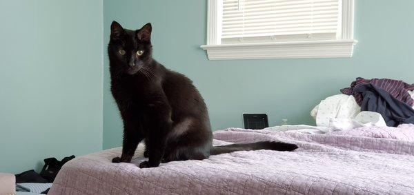 photo of Virginia C.