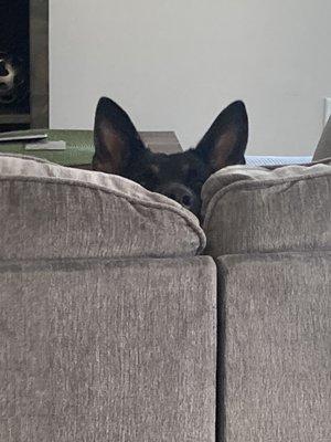 photo of Jennifer C.