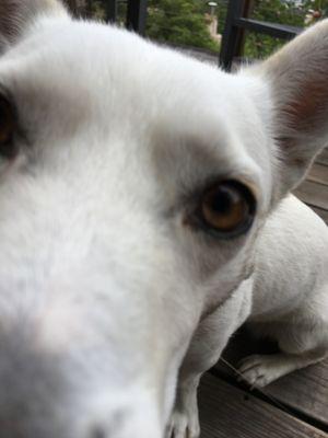 Photo of Toby B.