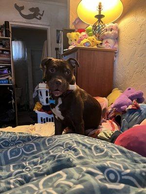 photo of Michelle R.