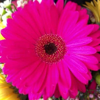 photo of Patricia S.