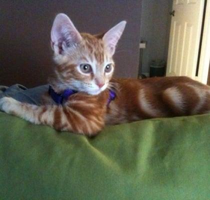 Photo of Misha W.