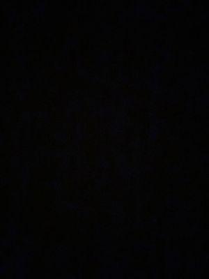 Photo of Meg P.