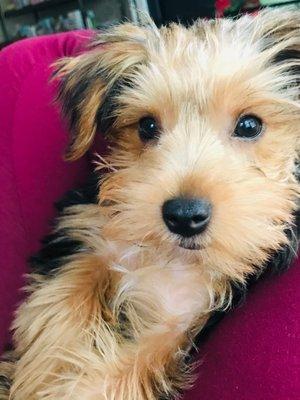 photo of Spiritual T.