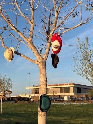 photo of Many Hats M.