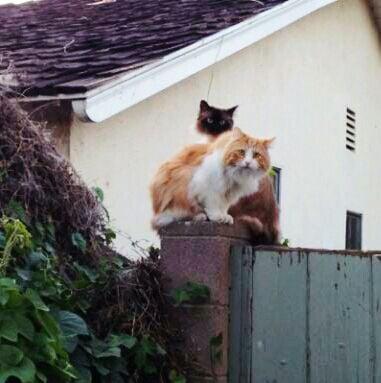 photo of Jennifer M.