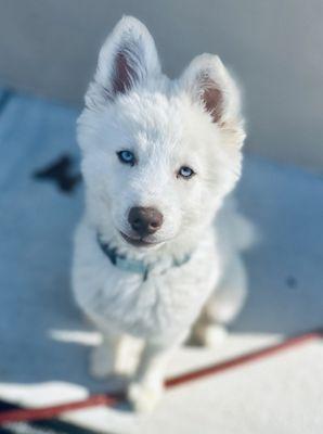 photo of Alexandra W.