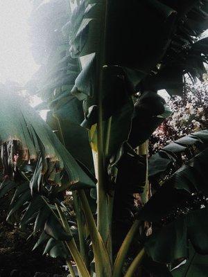 photo of Gabrielle M.