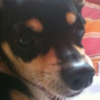 Photo of Macy M.