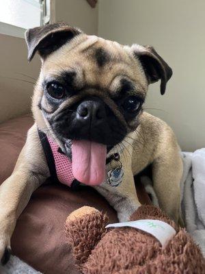 Photo of Luvscosmo ..