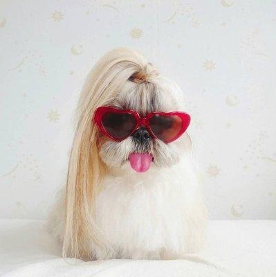 Photo of Fortheloveoffood ..