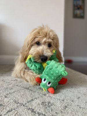 photo of Christine L.