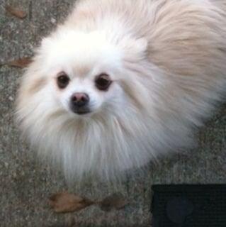 Photo of Ms Parker M.