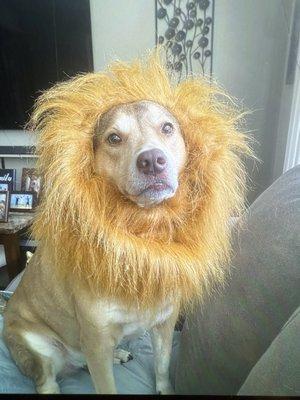 Photo of Victoria L.