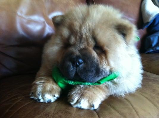 Photo of Peapaw's T.