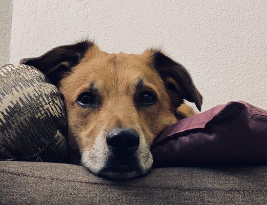 photo of Christopher S.