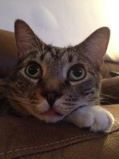photo of A. K.