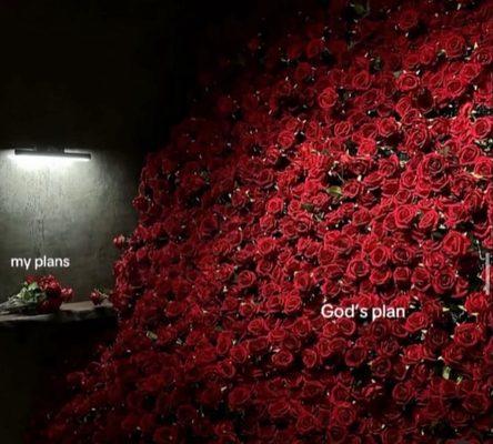 Photo of Jonathan S.