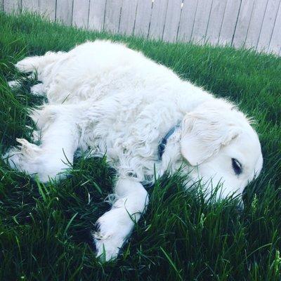 photo of Mercedes L.