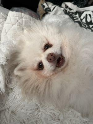 Photo of Bella S.