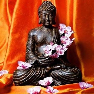 Photo of MaryAnne T.