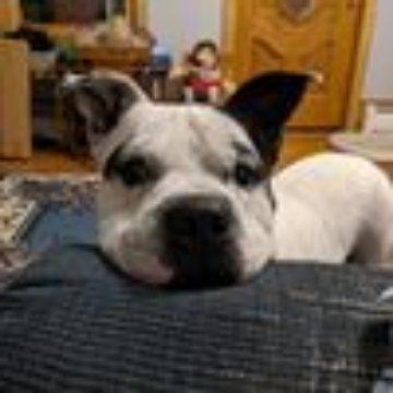Photo of Amy Q.
