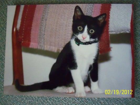 Photo of Lynne B.