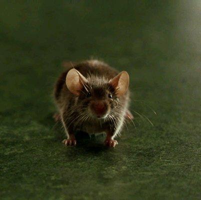 photo of Mitchell S.