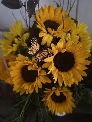 photo of Queta Ana S.