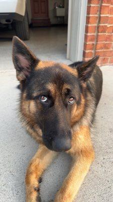 photo of Luke S.