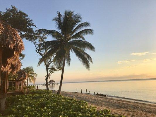 Photo of Victoria N.