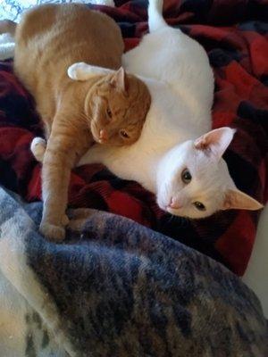 photo of Jamie And Bernadette C.