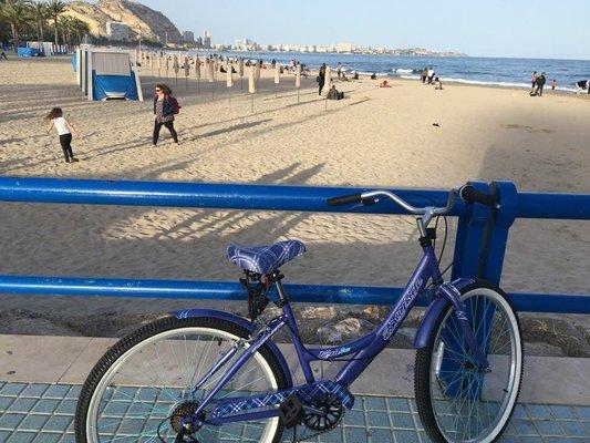 Photo of International Traveler I.