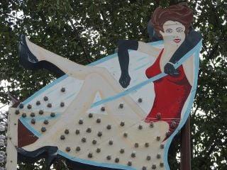 Photo of Sherry S.
